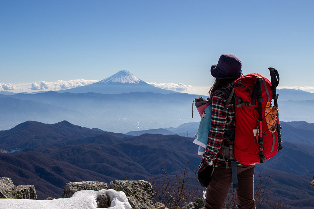 山頂から眺める富士山